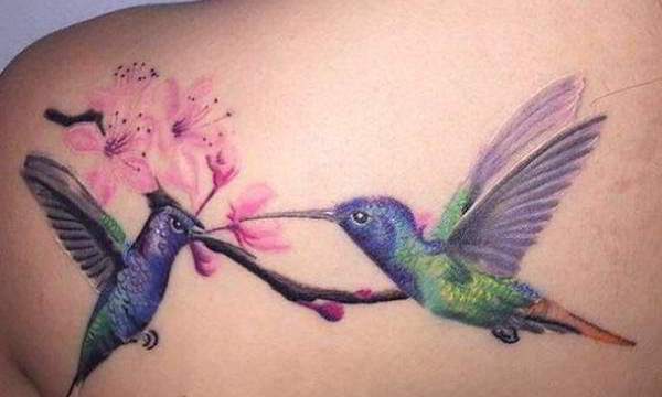 colibri - Tatuajes de ave fénix