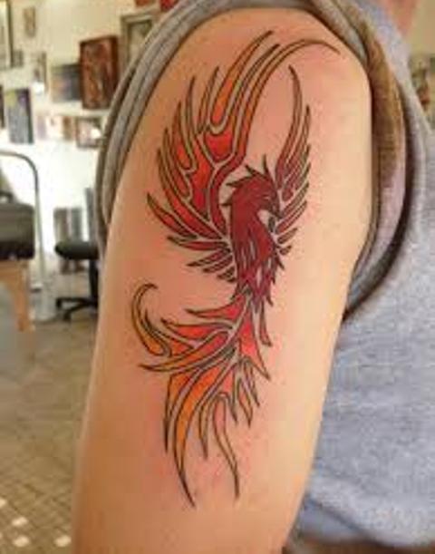 fenix brazo 2 - Tatuajes de ave fénix