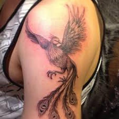 fenix brazo 4 - Tatuajes de ave fénix