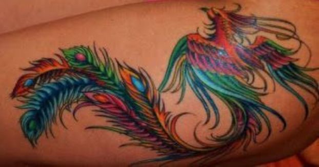 fenix para mujeres 4 - Tatuajes de ave fénix