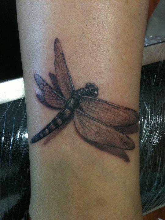 fotos libelulas 3 - tatuajes de libélulas