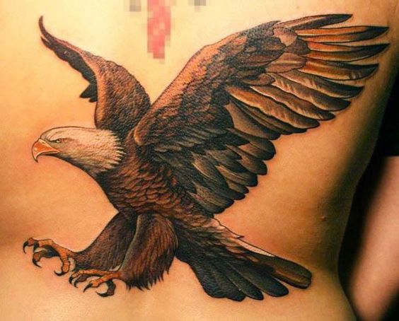 tatuajes de aguila en la espalda 4 - tatuajes de águilas