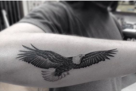 tatuajes de aguilas en el brazo 4 - tatuajes de águilas