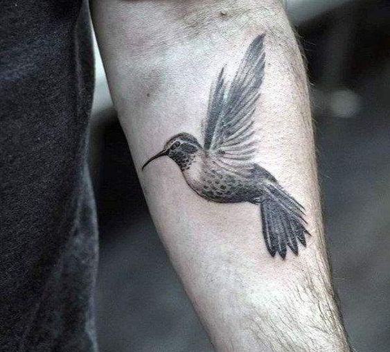 tatuajes de un colibri 1 - tatuajes de colibrí
