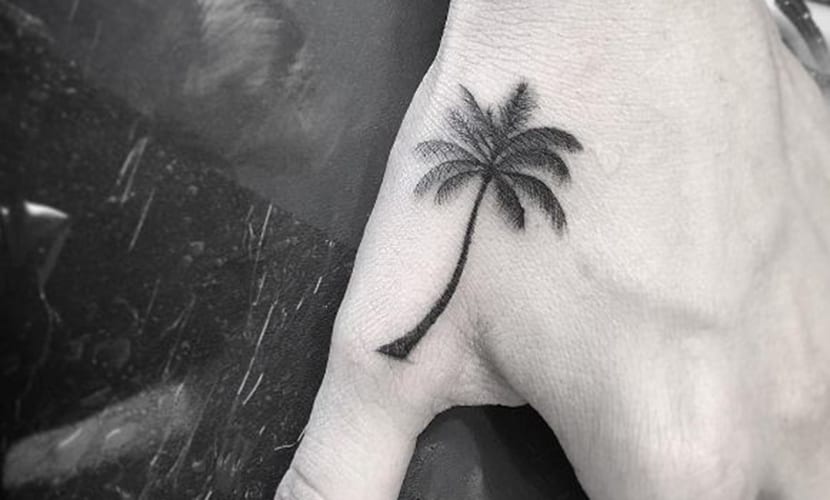 palmas mano 5 2 - tatuajes de palmas